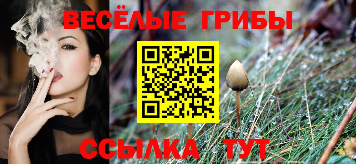 Галлюциногенные грибы Cubensis  Вход с VPN  Нягань 